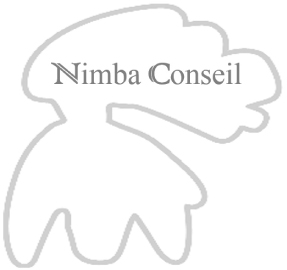 Nimba Conseil